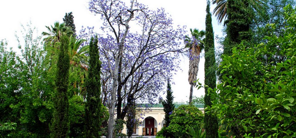 Jardin du Musée Batha 